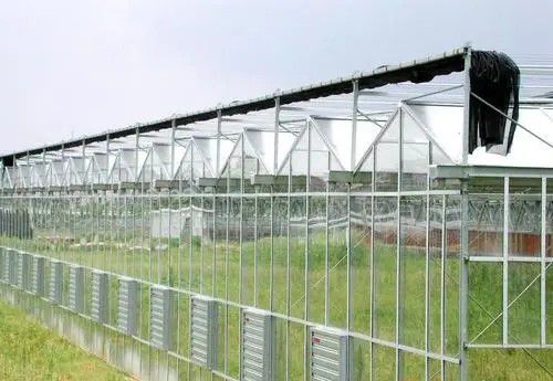 根河連棟溫室大棚